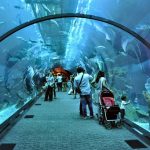 The Aquarium in Suoi Tien Theme Park